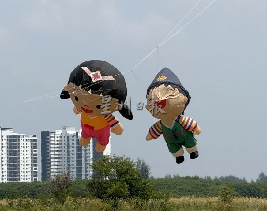 来看风筝飞飞飞·甲国际风筝节梦幻登场