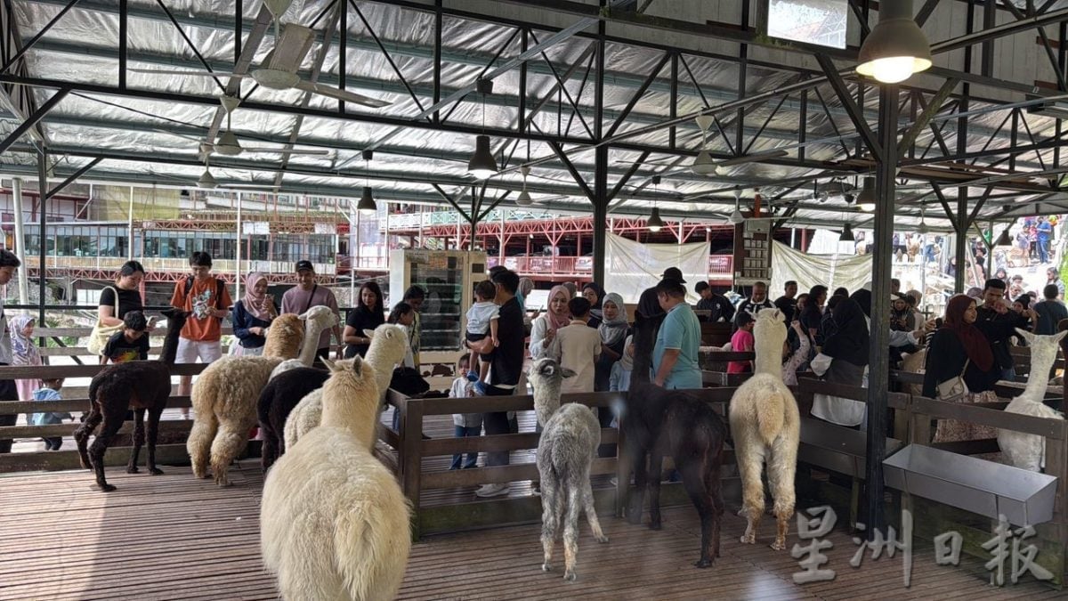 金马仑最低温摄氏14度 凉飕飕避暑好地方 