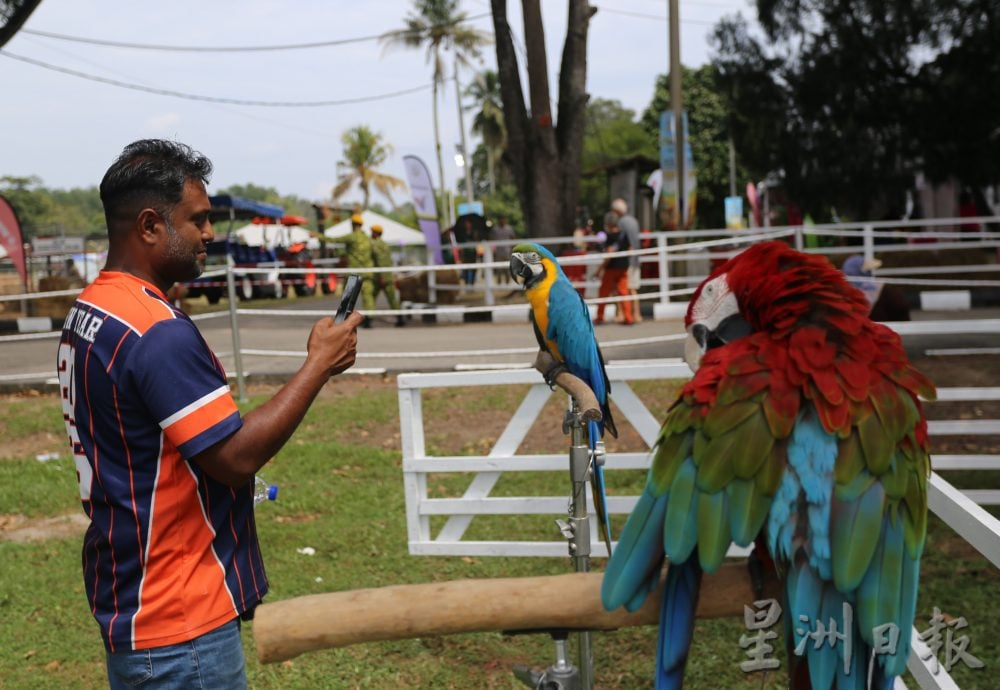 大象萌兽嗨翻全场 霹畜牧农业展火热引爆