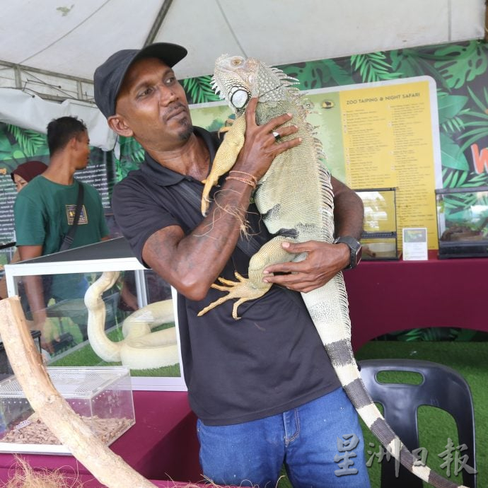 大象萌兽嗨翻全场 霹畜牧农业展火热引爆