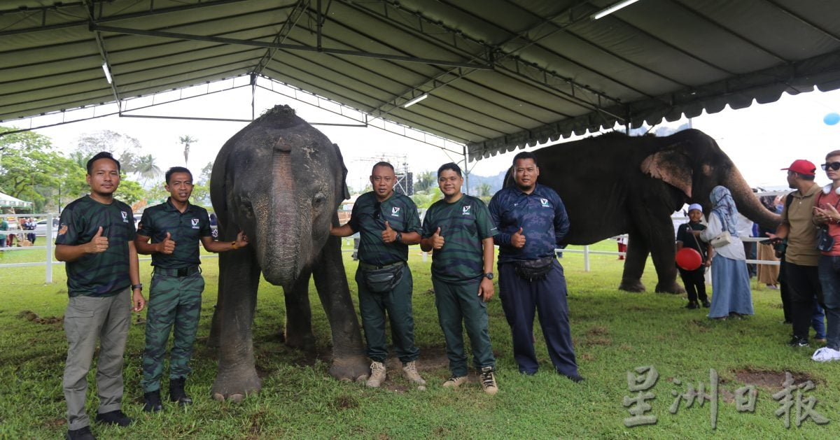 大象萌兽嗨翻全场 霹畜牧农业展火热引爆