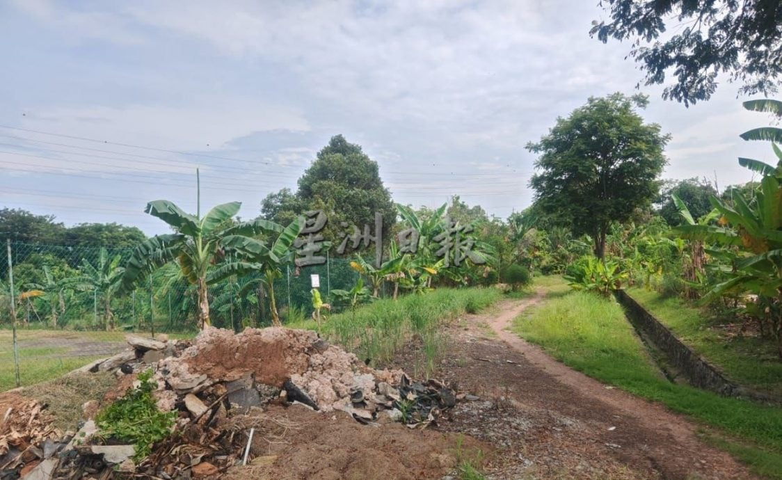 （古城版）市政厅8次“后巷空空”行动，打击非法种植和畜牧，减缓蚊症问题