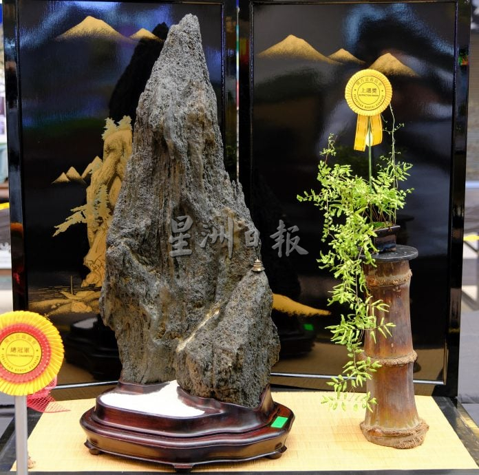 东:已签发：2025年全国盆栽雅石展赛开幕仪式