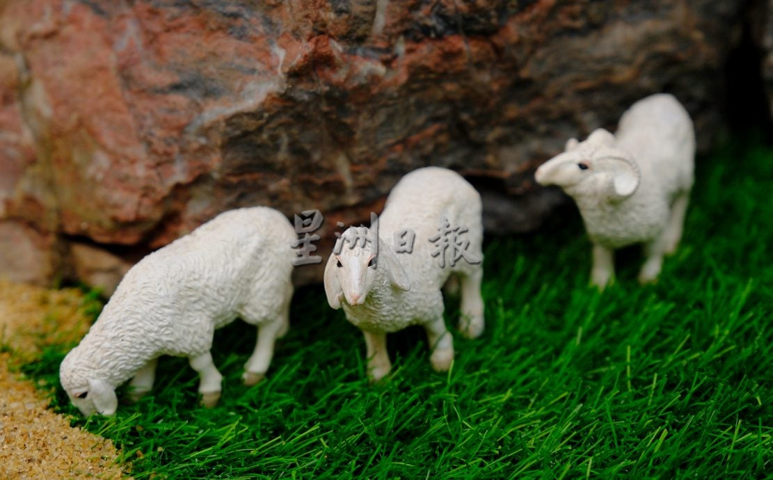 东:已签发：2025年全国盆栽雅石展赛开幕仪式