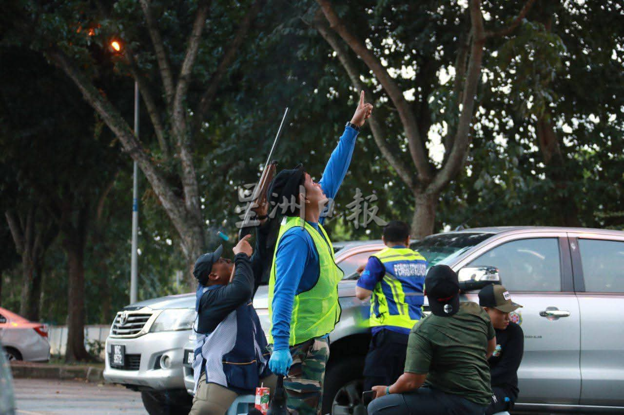 (大都会)沙亚南市政厅射杀乌鸦行动