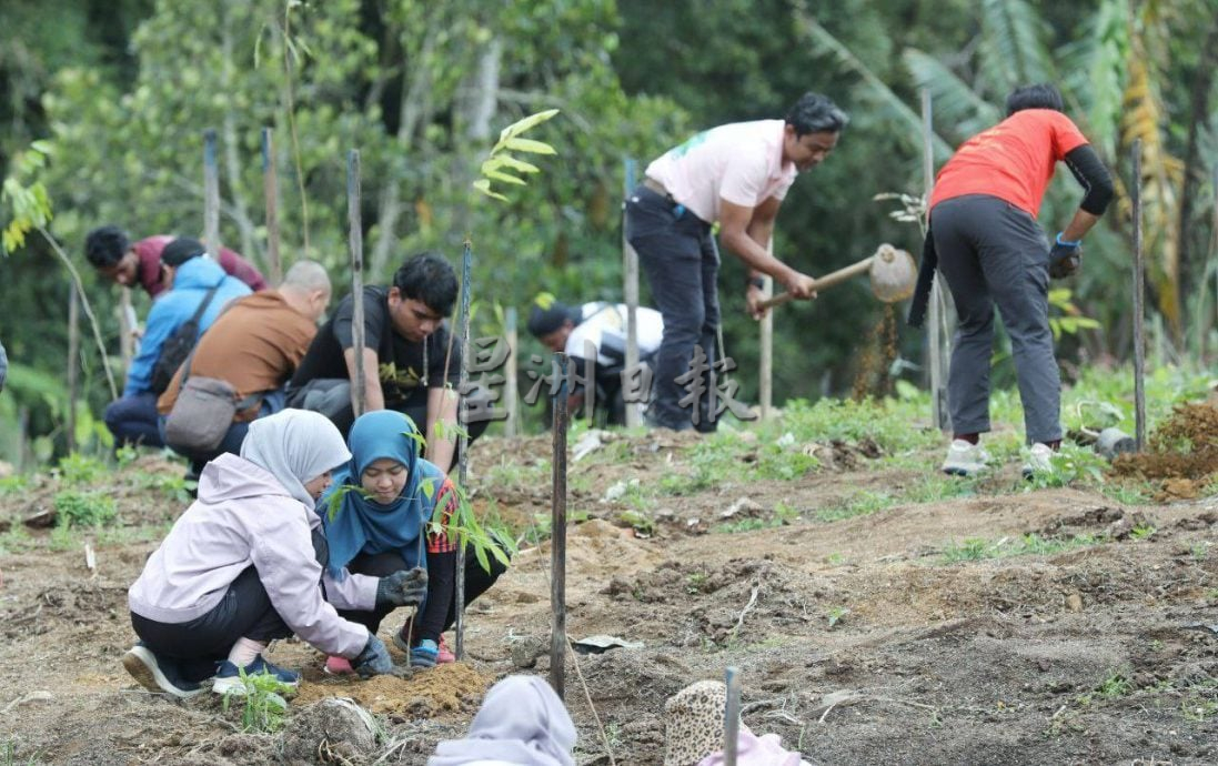 东：（已签发）彭森林局4年种1200万棵树木