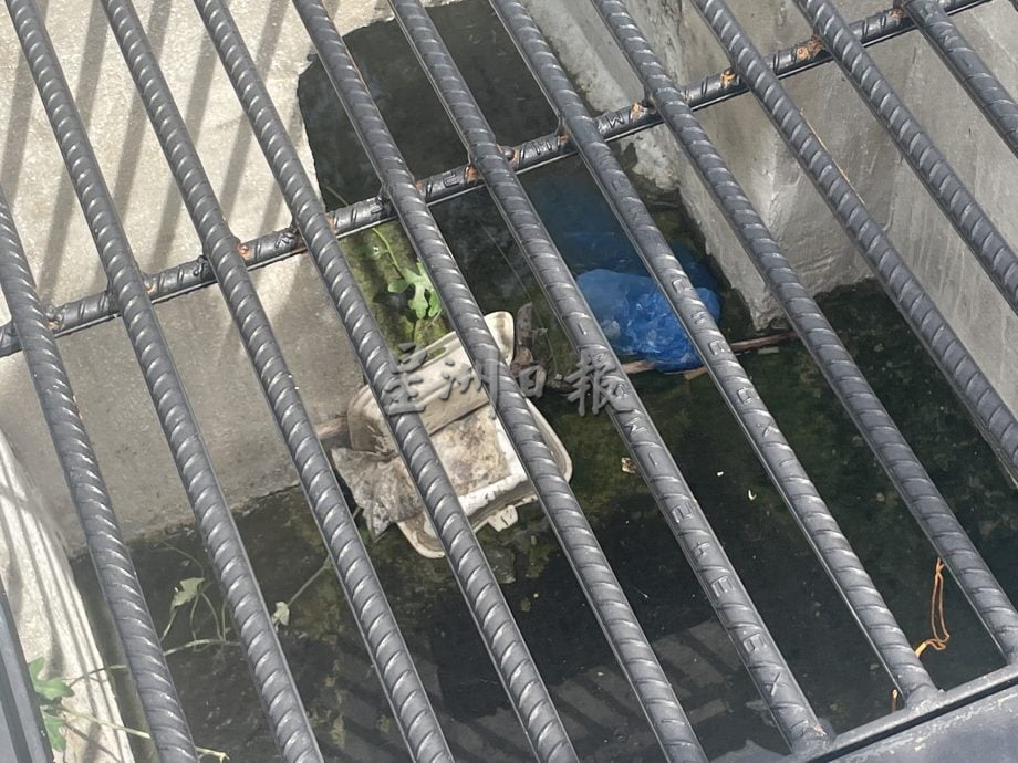 大都会/潘佩玲巡视沟渠提升工程