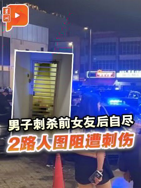 男子刺杀前女友后自尽 2路人图阻遭刺伤