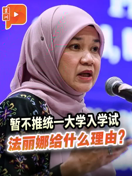 暂不推统一大学入学试 法丽娜给什么理由?