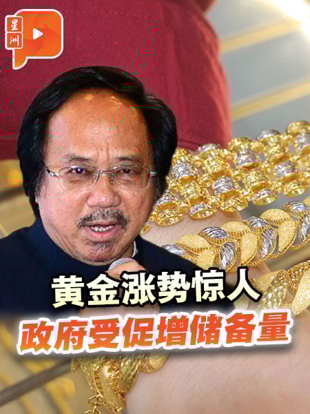 黄金涨势惊人 政府受促增储备量
