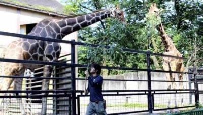 Japanese zoos make compost from animals’ droppings, sell product to local farmers