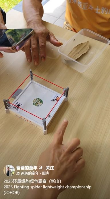 16/10 大都会-星洲人VIP/访豹虎爱好者