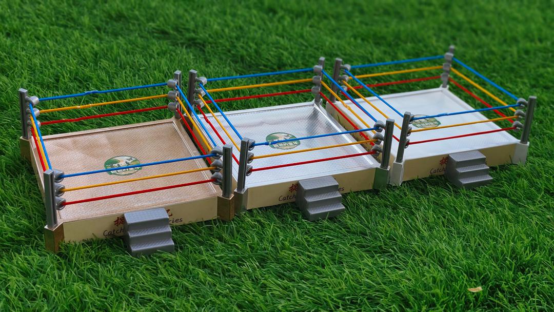 16/10 大都会-星洲人VIP/访豹虎爱好者