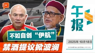 调侃“马航禁酒”提议 林立迎：伊党不如创“伊航”看多久破产
