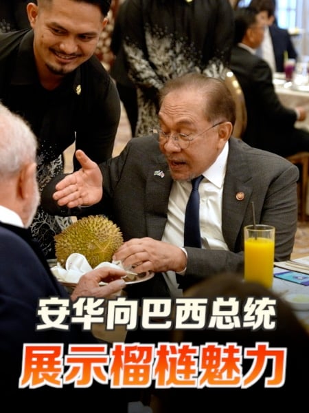安华外宣有“香味” 向巴西总统展示榴梿魅力