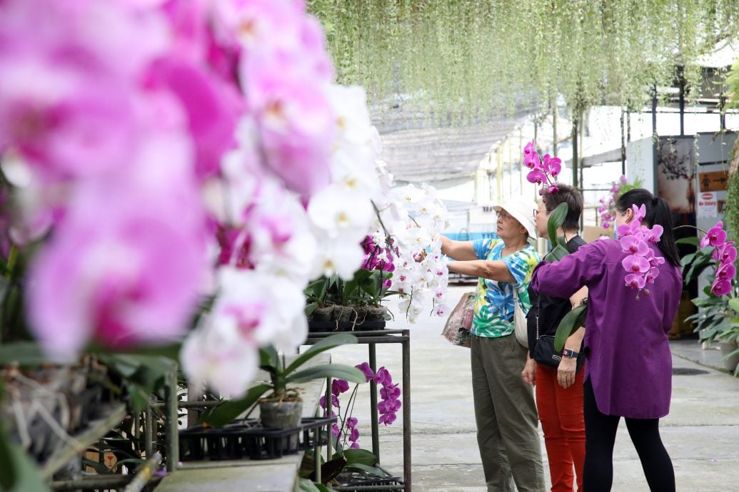 31/10大都会-半岛心旅行：乌雪县