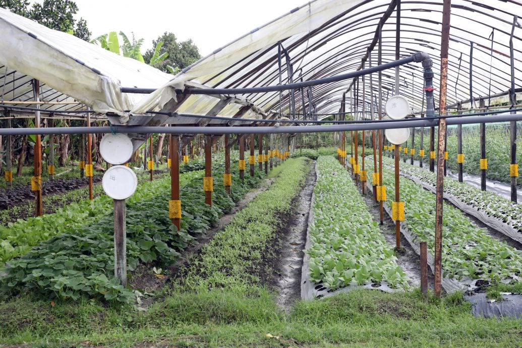 31/10大都会-半岛心旅行：乌雪县