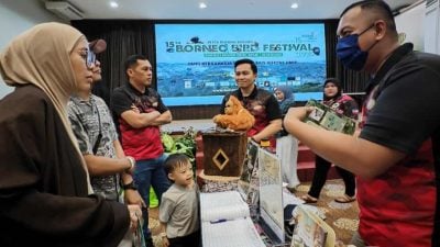 双溪平珍稀鸟类引关注 包括濒危犀鸟及鹳类