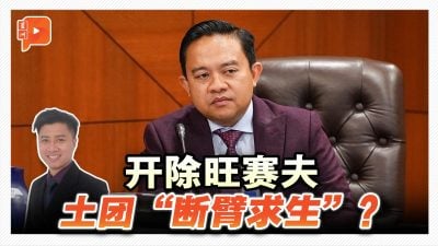 开除旺赛夫 土团党“断臂求生”？