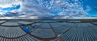 Chinese Spirulina Industry Expands Global Reach, Promoting Health and Nutrition Benefits
