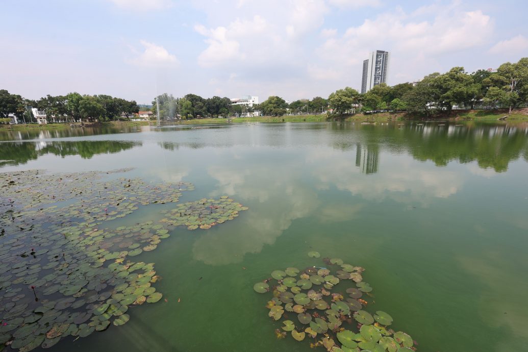 9/10 大都会/星洲人VIP/吉隆坡儿童暂托中心