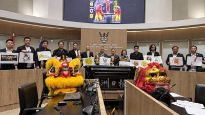 马菲中印新46队参赛  国际龙狮赛11月1日开战