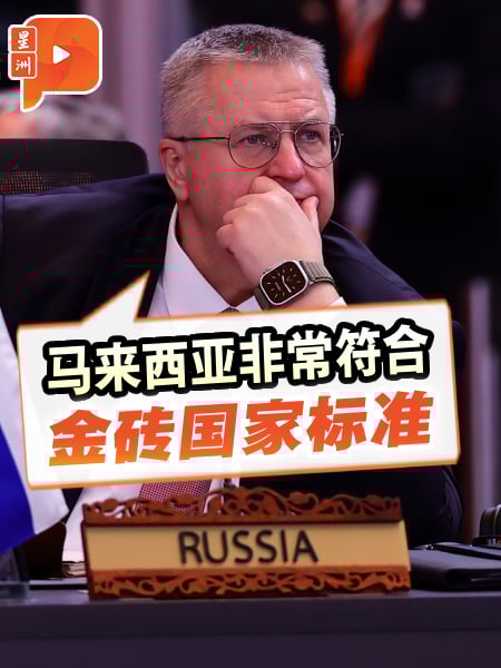 继巴西后再获背书?俄副总理:大马符合金砖标准
