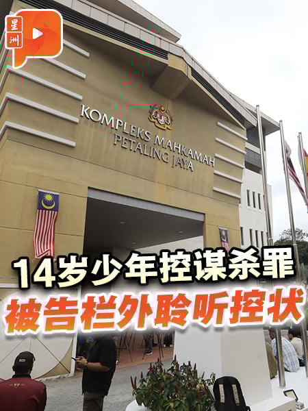 校园凶杀案 | 14岁少年被控谋杀罪 代表律师申请进行精神鉴定
