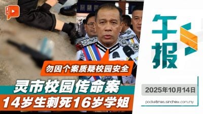 14岁初一生刺死16岁学姐 总警长：别因一宗悲剧认定校园不安全