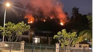 柏达纳高原森林火灾 80%火势已受控