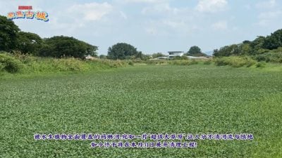 视频 | 陆地?河?玛琳河分不清界限 本月31日动工清理