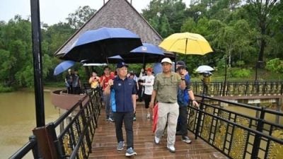 关闭近3年 路阳敦法植物园下周一重开