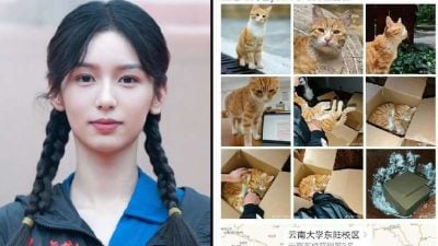 校园拍摄碾死小猫遭谴责 周也新剧剧组道歉司机辞职