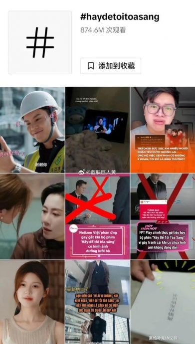 “九段线”地图违反越南电影法 赵露思《许我耀眼》全面禁播