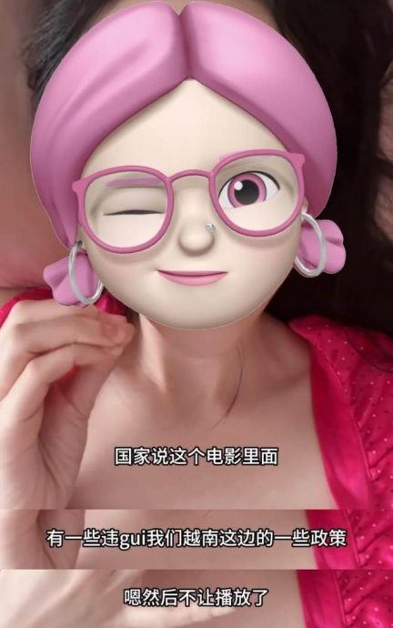 “九段线”地图违反越南电影法 赵露思《许我耀眼》全面禁播