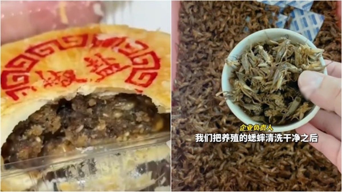 “蟋蟀月饼”惊艳登场! 中国创意月饼口味大碰撞掀议