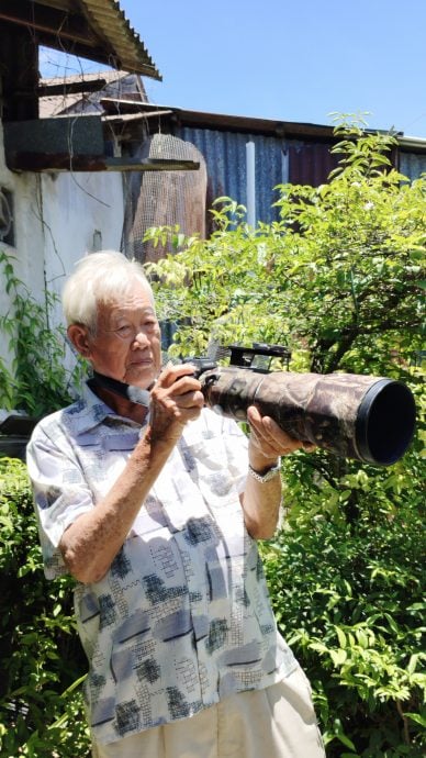 ★30日见报∕乐活频道/82岁的长焦人生 蔡永平拍鸟成日常