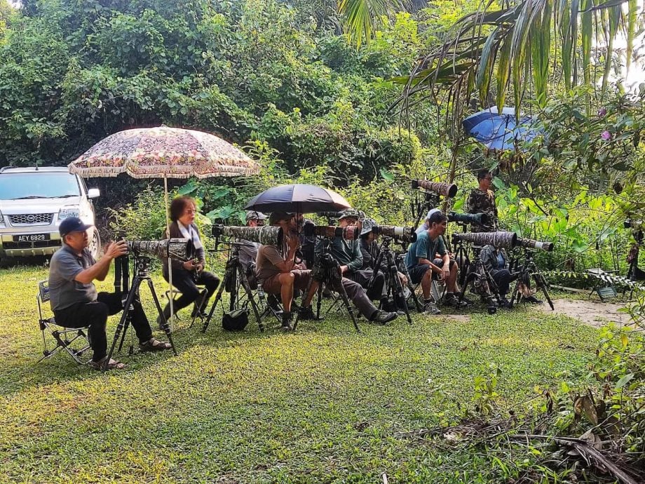 ★30日见报∕乐活频道/82岁的长焦人生 蔡永平拍鸟成日常