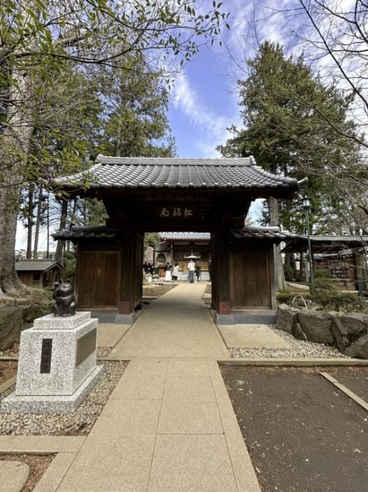 【日本】东京豪德寺/白色招福猫招来好运