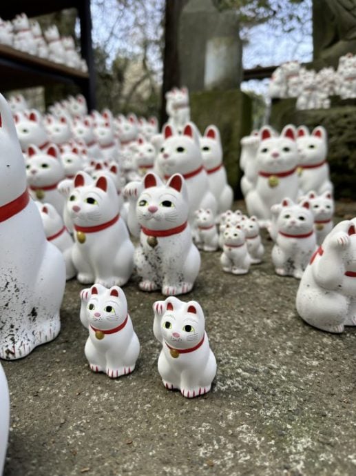【日本】东京豪德寺/白色招福猫招来好运