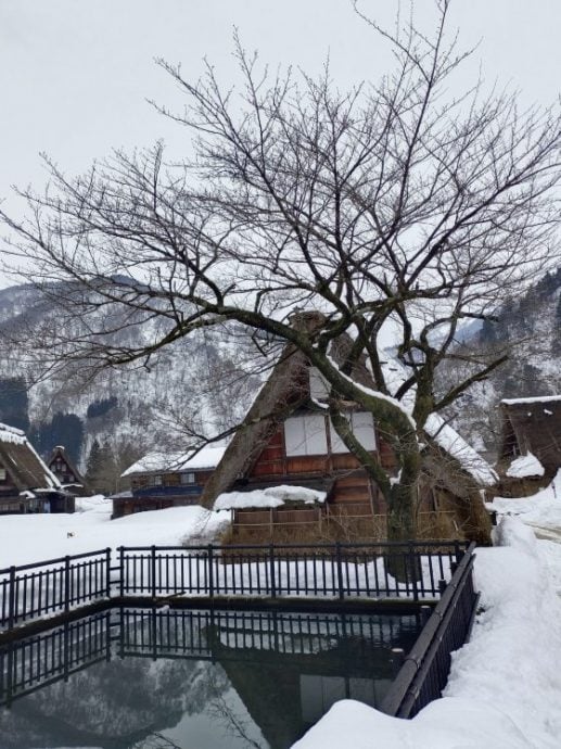 【日本】冬季里的合掌村──白色的世外桃源