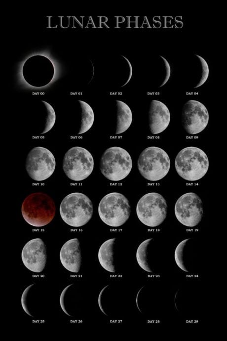 【追月逐影/01】追逐谜一样的月亮,我们看着的是否同一个月亮?