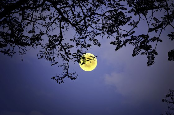 【追月逐影／02】伊斯兰文明，如何定义新月，观测新月，诞生新月？