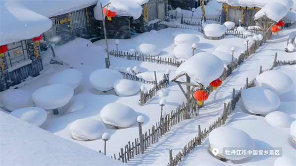 一夜入冬!中国多地将“断崖式”降温…黑龙江已出现降雪