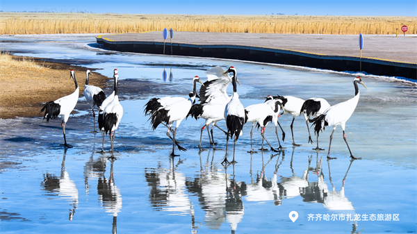 一夜入冬!中国多地将“断崖式”降温…黑龙江已出现降雪