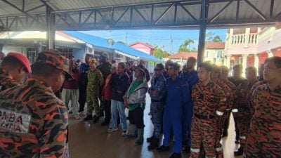 老翁入森林寻牛失踪   消拯局等联合搜寻