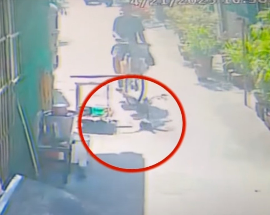 不满宠物鸭挡路 一脚踢开再碾死  男子遭重罚2.9万！