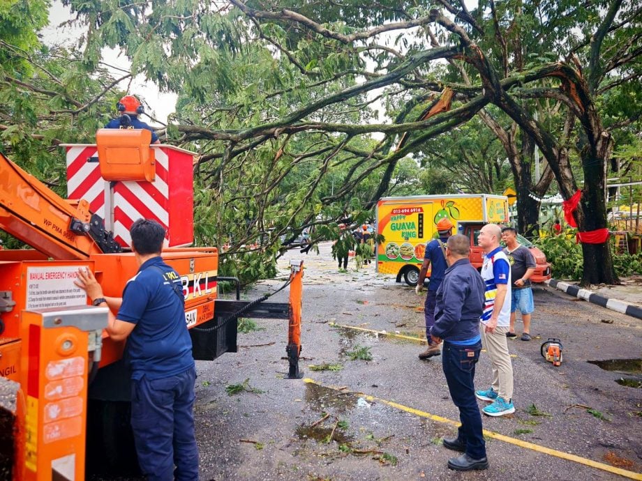 不用做头//大都会-甲洞地区昨午下冰雹树倒