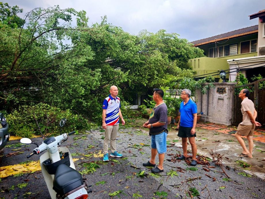 不用做头//大都会-甲洞地区昨午下冰雹树倒