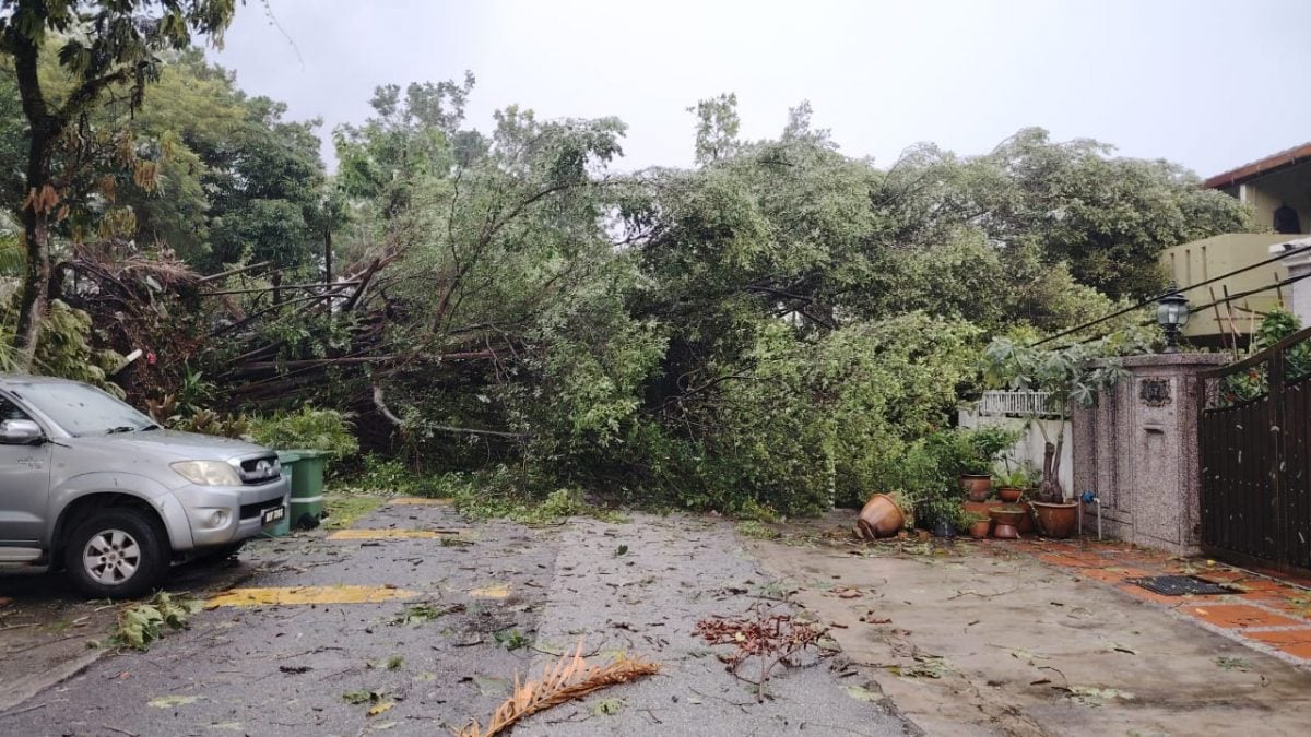 不用做头//大都会-甲洞地区昨午下冰雹树倒